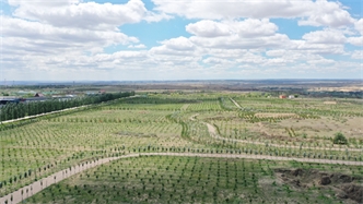 標題：托縣綠博園
瀏覽次數：2516
發表時間：2019-10-31