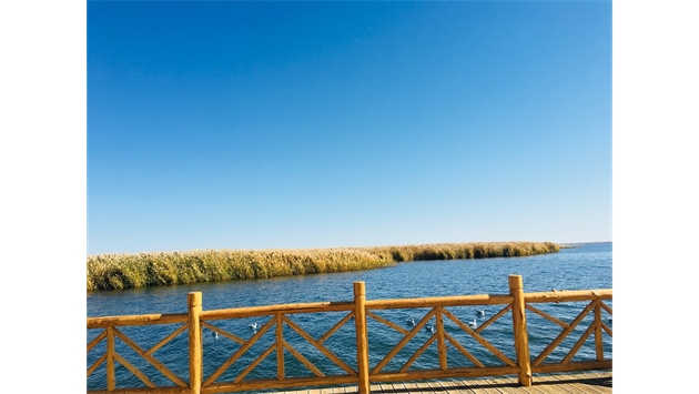 標題：額濟納胡楊林景區
瀏覽次數：1989
發表時間：2020-10-16