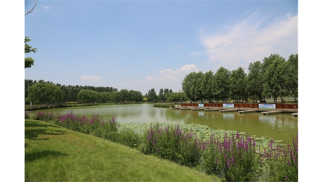 標題：包頭市民公園
瀏覽次數：2054
發表時間：2020-10-16