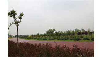 標(biāo)題：大青山南坡生態(tài)修復(fù)
瀏覽次數(shù)：2630
發(fā)表時(shí)間：2020-10-16