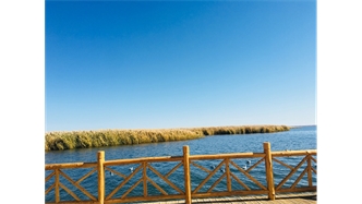 標題：額濟納胡楊林景區(qū)
瀏覽次數(shù)：1988
發(fā)表時間：2020-10-16