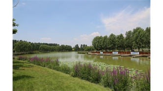 標(biāo)題：包頭市民公園
瀏覽次數(shù)：2052
發(fā)表時(shí)間：2020-10-16