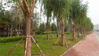 標(biāo)題：通遼市勝利北路道路景觀(guān)綠化
瀏覽次數(shù)：1960
發(fā)表時(shí)間：2020-10-16