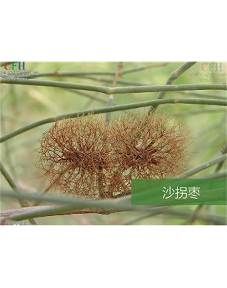 標題：名貴樹種
瀏覽次數：1949
發表時間：2020-10-17