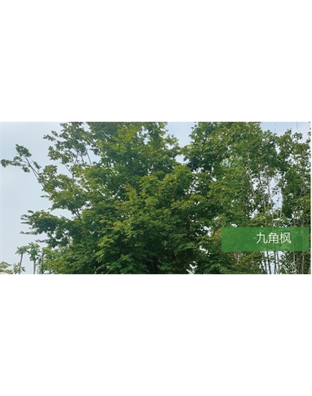 標(biāo)題:?jiǎn)坦嗄?瀏覽次數(shù):1837
發(fā)表時(shí)間:2020-10-17