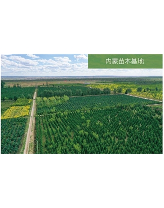 標題：苗木基地
瀏覽次數：2391
發表時間：2020-10-17