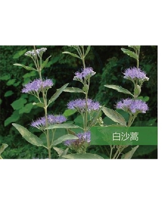 標題：名貴樹種
瀏覽次數：1851
發表時間：2020-10-17