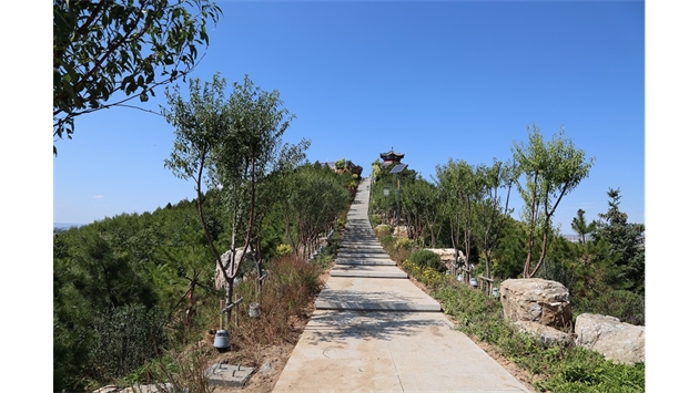 標(biāo)題：張家口太子山山體修復(fù)
瀏覽次數(shù)：18844
發(fā)表時(shí)間：2020-11-12