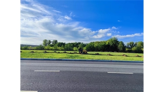 標題：伊利現(xiàn)代智慧健康谷道路綠化建設項目
瀏覽次數(shù)：2511
發(fā)表時間：2023-11-07